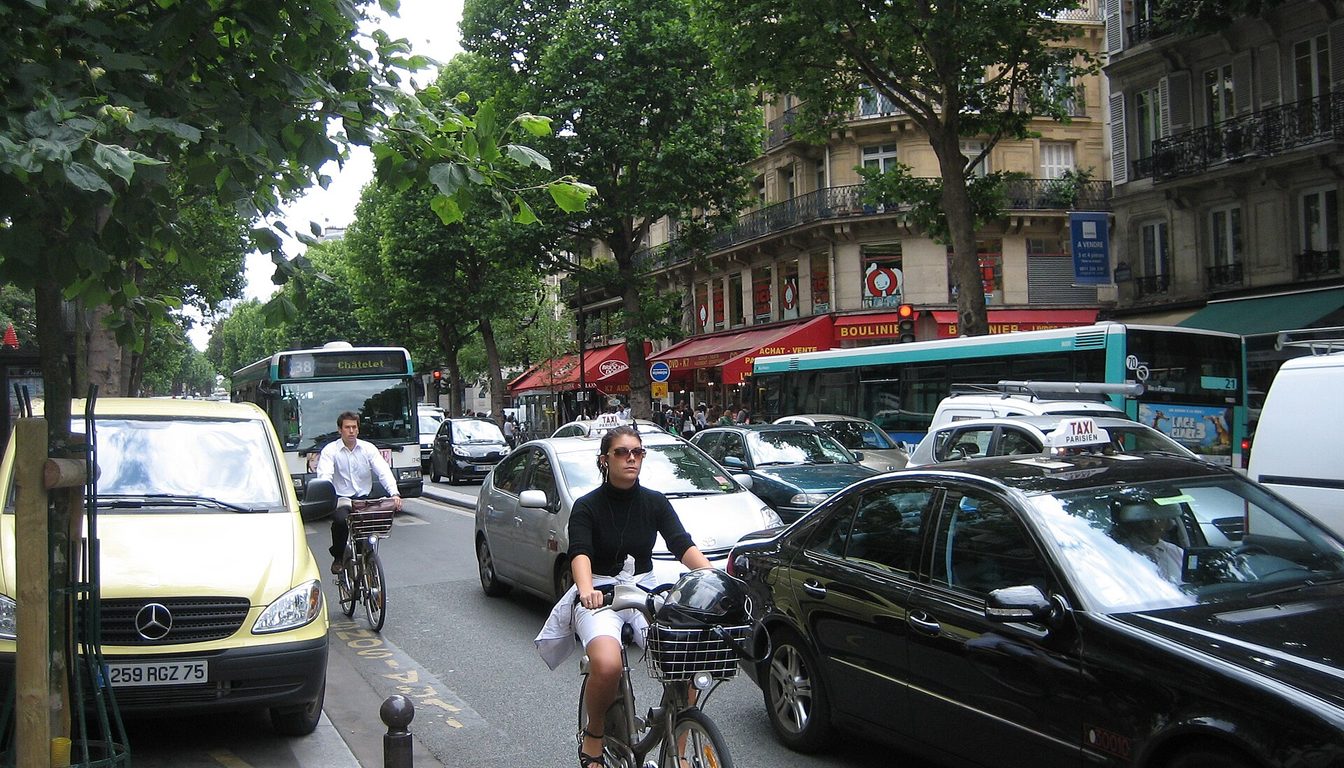 Two cyclists riding in a shared bus and bike lane on a tree-lined Paris street with buses and parked cars